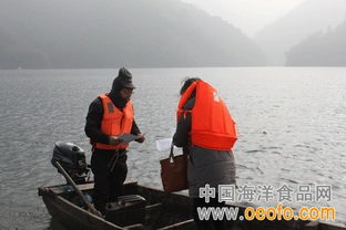 江山市多措并舉筑牢節前安全防線，守護漁業生產與市場質量雙安全