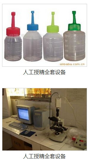 九宮格網絡營銷 助力中小企業數字化騰飛，共筑畜牧漁業飼料銷售新生態