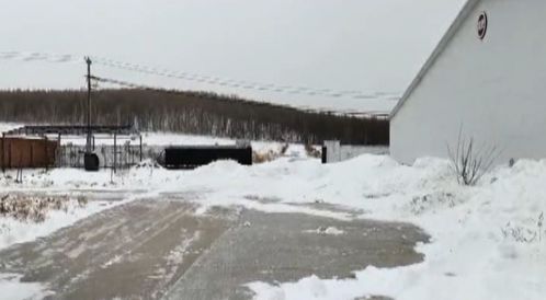 風雪同舟 畜牧部門筑牢防寒屏障，汽車裝飾業迎冬季消費熱潮