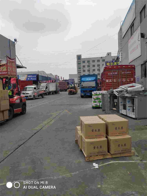 成都至酒泉精品專線 2026零擔快運，全程高速與城市配送一體化服務